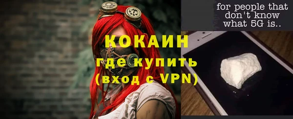 ешки Вяземский