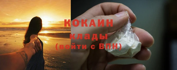 ешки Вяземский