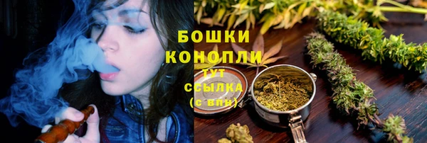 ешки Вяземский