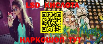 амф Гатчина