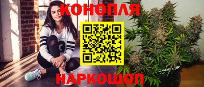 PSILOCYBIN Будённовск