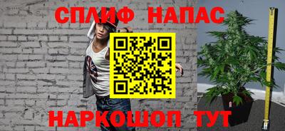 амф Гатчина