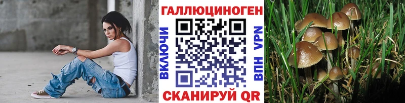 Галлюциногенные грибы прущие грибы  Дивногорск 
