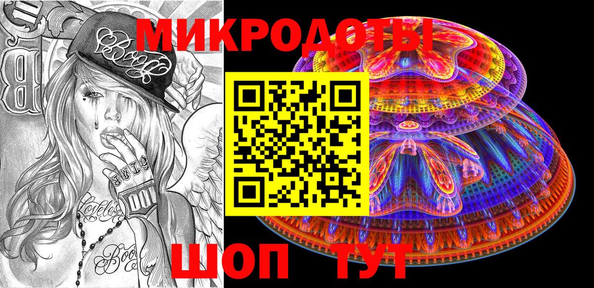 Псилоцибиновые грибы мицелий Дивногорск